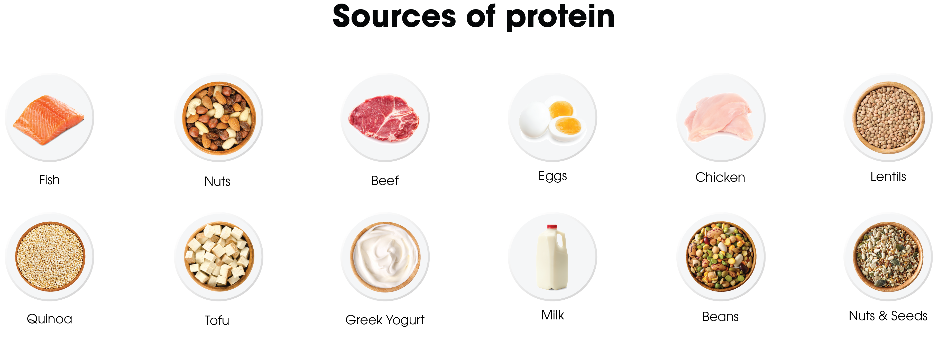 Sourced of protein